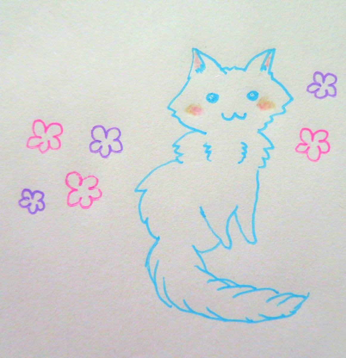 花猫 にゃんこラクガキ F ๑ ๑ 𖡼 𖤣𖥧ꕤ 猫 落書き サラサクリップ