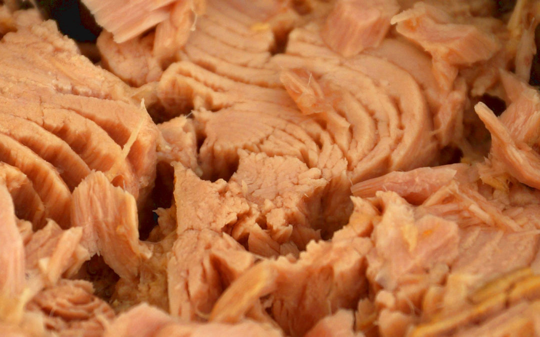 Las latas de conservas son algo indispensable en cualquier cocina, ya que nos pueden sacar de un apuro y nos facilitan el momento de cocinar. Para que lo aproveches te traemos hoy esta receta de pastelitos de atún crujientes sin #carbohidratos. 

#isodieta
