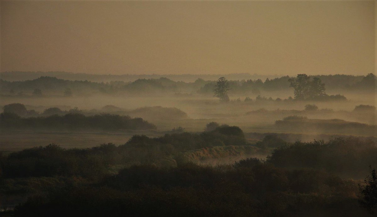 Kto nie lubi Podlasia, ten trąba.

#Podlasie