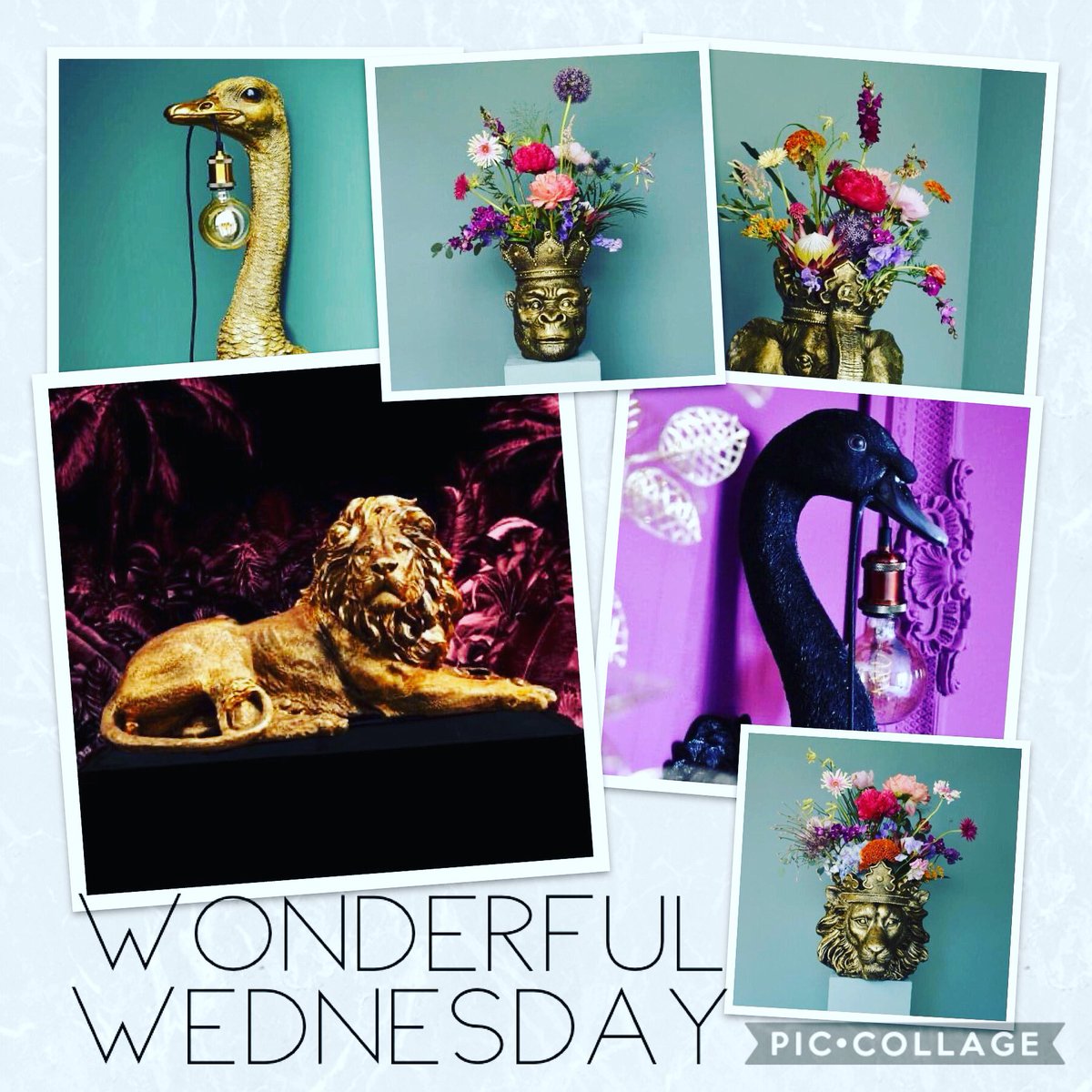Yea! Alle artikelen op de foto zijn vanochtend binnen gekomen en nu te koop in de winkel &amp; webshop!

#verlichting #Lamp #Stuisvogel #everzwijn #zwartezwaan #hert #aap #Olifant #leeuw #nijmegen #nimma #woonkamerinspiratie #etalage #design #kitsch #nieuwecollectie #wandlamp #sfeer