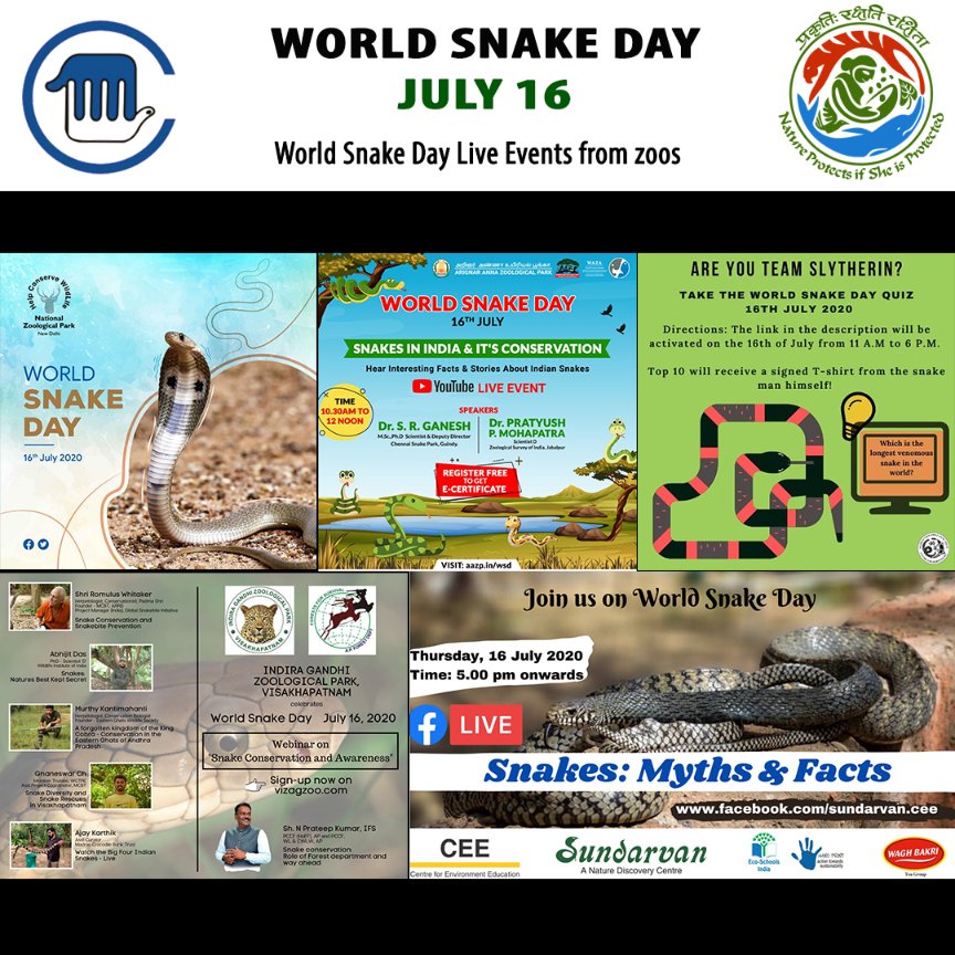 CZA_Delhi's tweet photo. On this #WorldSnakeDay, let's pledge to conserve and live harmoniously with these dangerous yet lovely creatures. Plan your day for the host of events lined up by zoos!
PC: https://t.co/AIdFxsr2jE @tmelanocephalus
#sundarvan https://t.co/XozytSUWVb