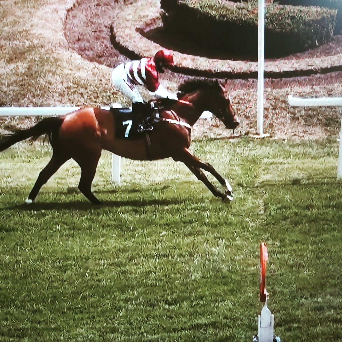 Onethreefiveno1's tweet photo. Another Winner on the board for the brilliant @HollieDoyle1 when giving THE CITY'S PHANTOM a perfect ride for @Richspencer89 at @GTYarmouthRaces
▪︎
#RewritingTheBooks
▪︎
@Onethreefiveno1 @ukhealthradio @Cagwdressage @bowdenpr @dubbzylad @THRInsider @townend_alison https://t.co/X9ix2EOys5