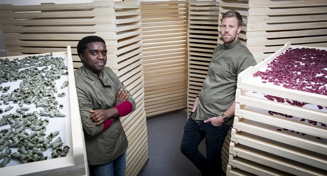 VeggiHap maakt groentepasta's van groente die vanwege een afwijkende vorm niet in de winkel komt en groente uit overproductie. Lees meer: bit.ly/VeggiHap #Rotterdam #CityLab010 #circulareconomy #duurzaam #startup