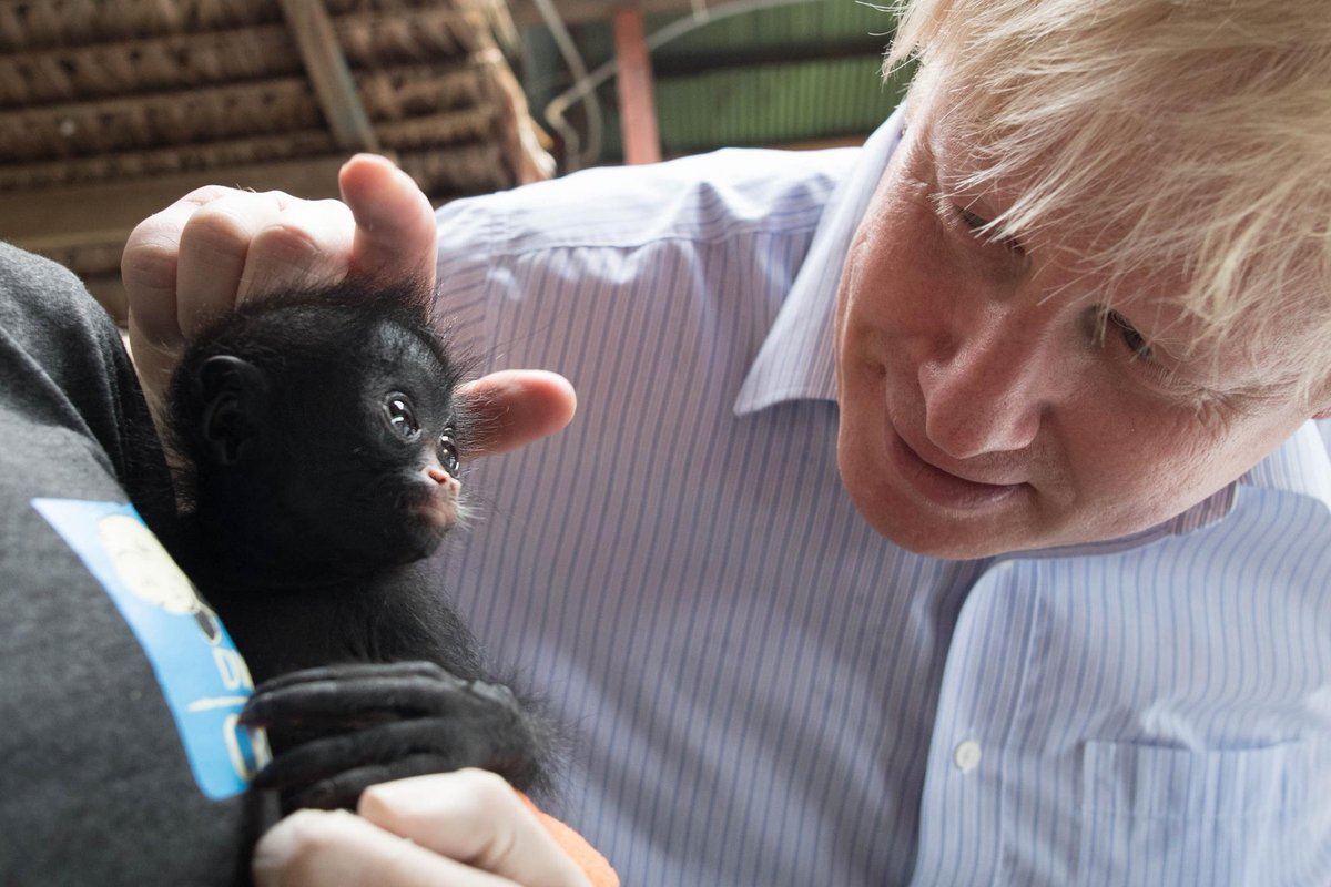 "I don't believe in gestures, I believe in substance" said Boris Johnson, about taking a knee.  #IDontBelieveInGestures