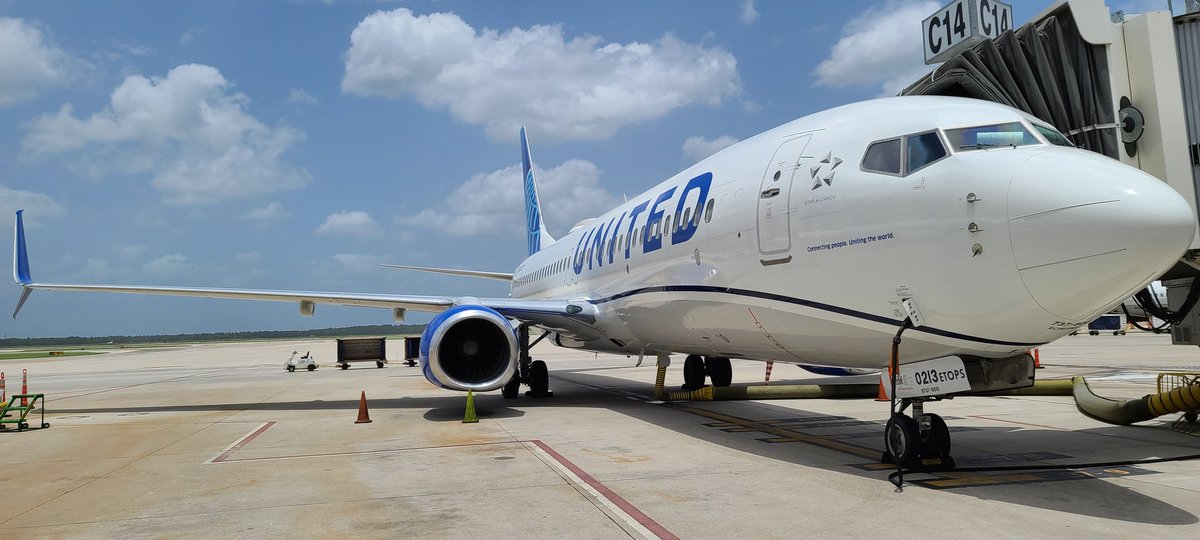 Tony Bresciani tweet media