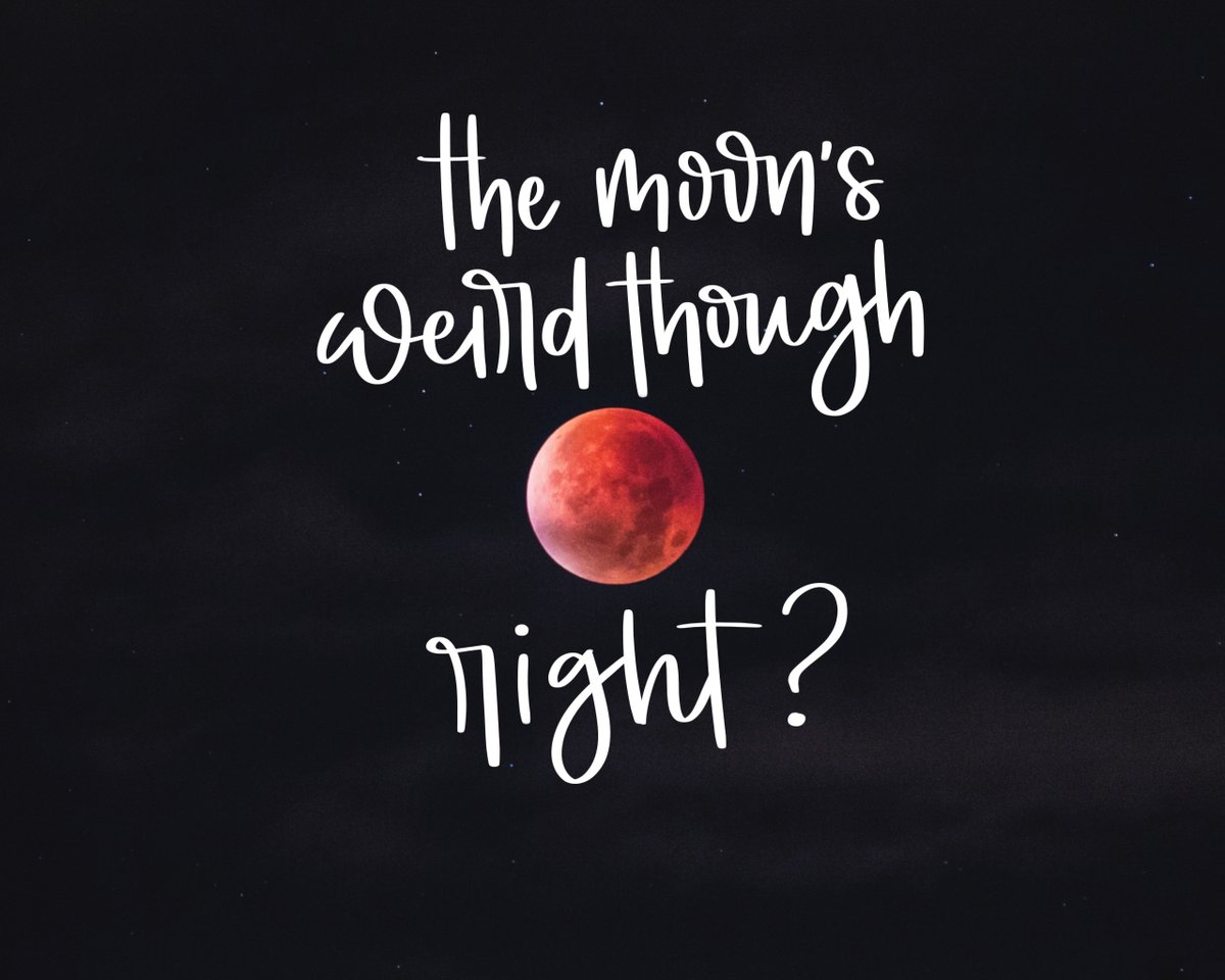 moonstruckstdio's tweet photo. Welcome to Night Vale | Episode 5 |  The Shape in Grove Park

#welcometonightvale #calligraphy #illustratedquotes #digitalart #handlettering https://t.co/redN6ewepP