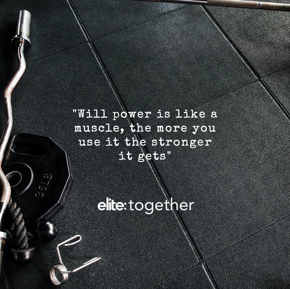 elite: Together tweet media