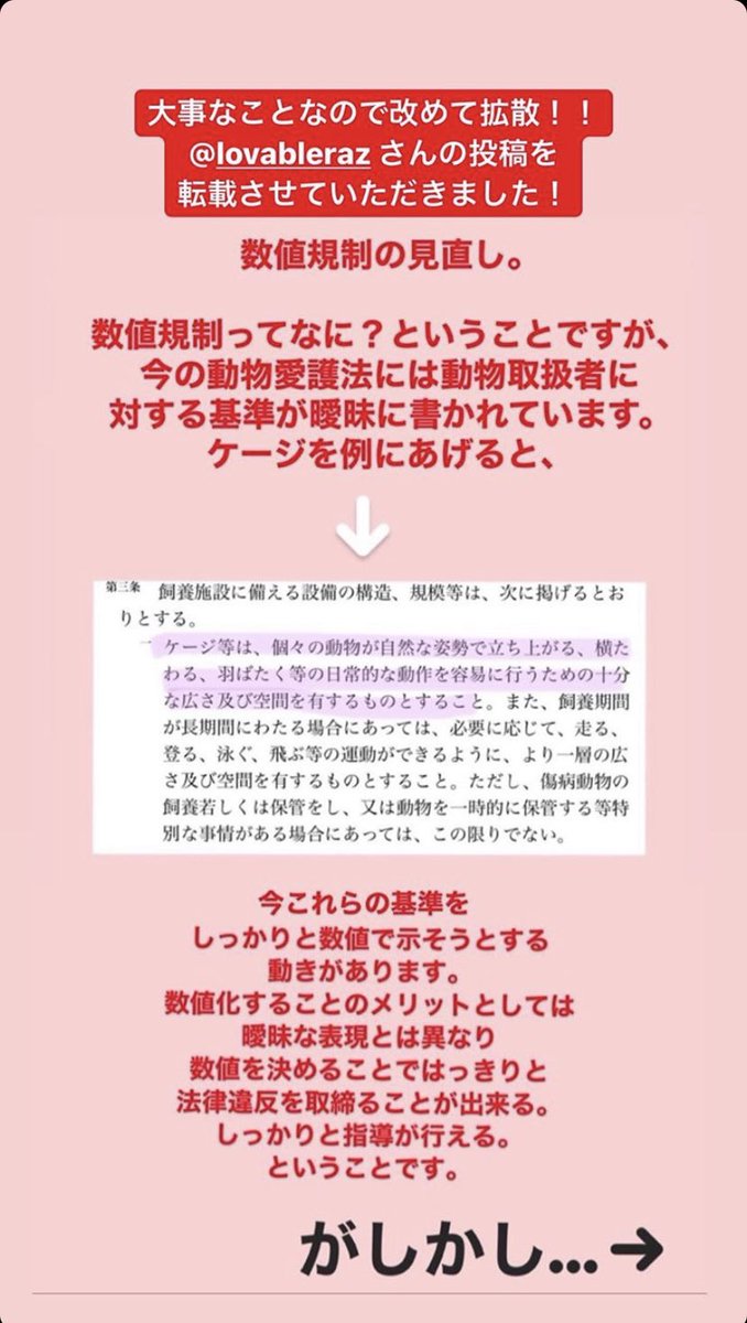 中村芹菜 Sxpi1219 Twitter 中村芹菜 Sxpi1219 Twitter
