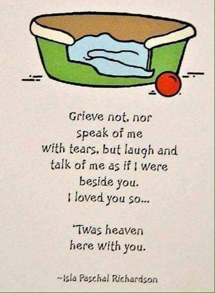 #SirSebSendoff our mummy sends Anti and Unkle all er love. She says she was very honoured to know such a sweet gentleman. Run free sweet boy xx