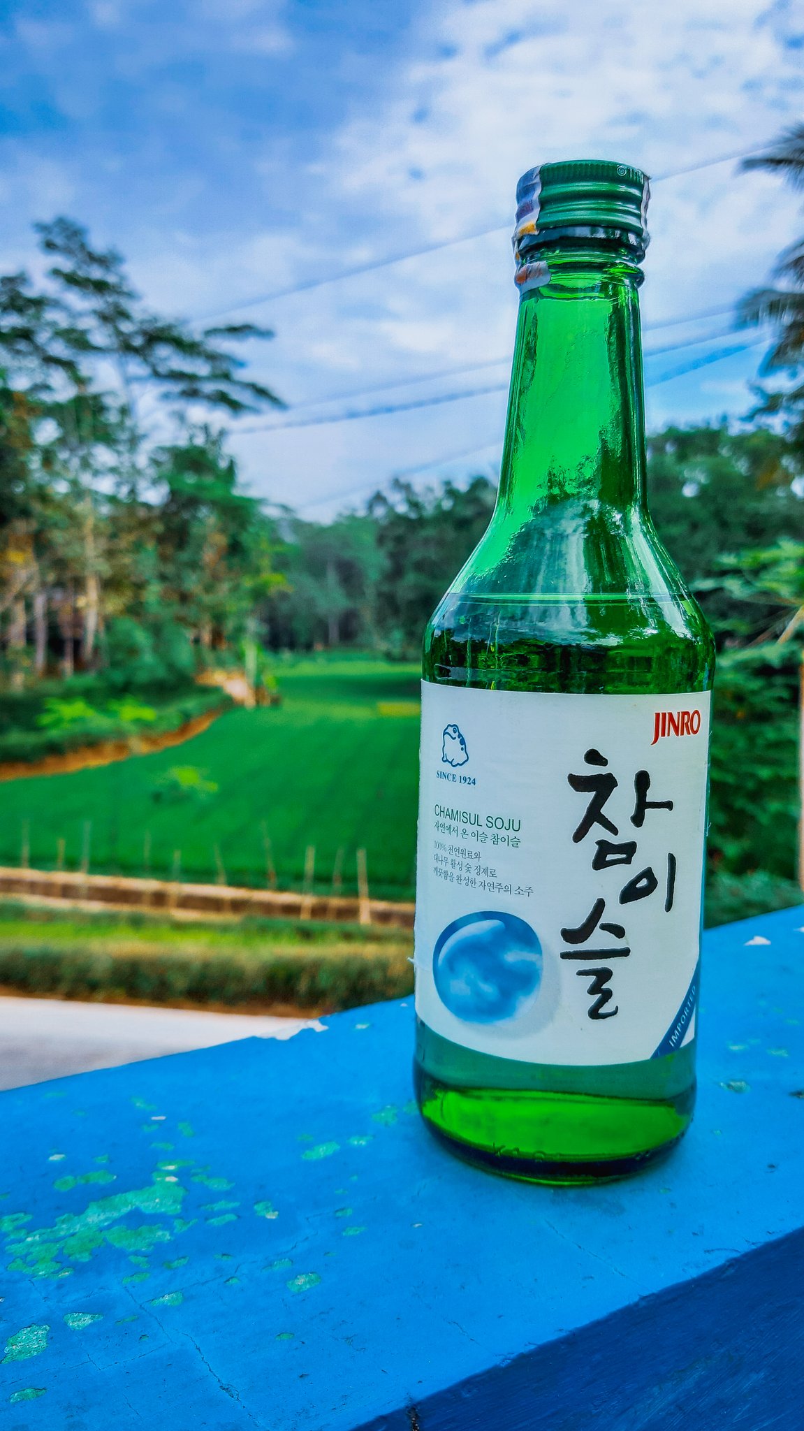 Efek minum soju