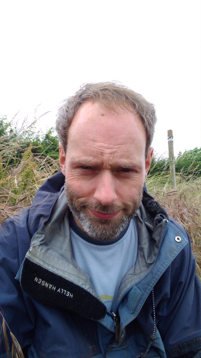Richard Grayson tweet media