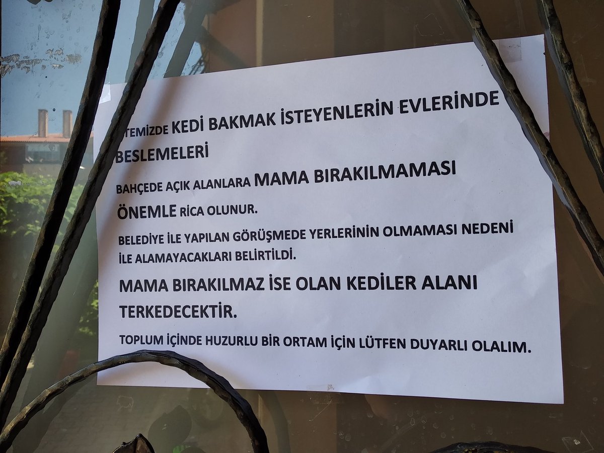 Figeeeeeeennnn1's tweet photo. #AnlamVeremiyorum Dünyanın yalnızca insanların olduğunu düşünenlere. Az önce hakarete uğradım. Çok üzüldüm. https://t.co/eHnbAoskNM