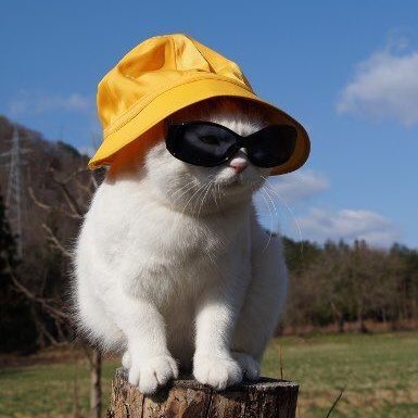 teasippity's tweet image. #NewProfilePic I'm officially in summer mode yasss chile now where my Pink playlist💅🏻💅🏻💅🏻
@NICKIMINAJ 
#NickiMinaj