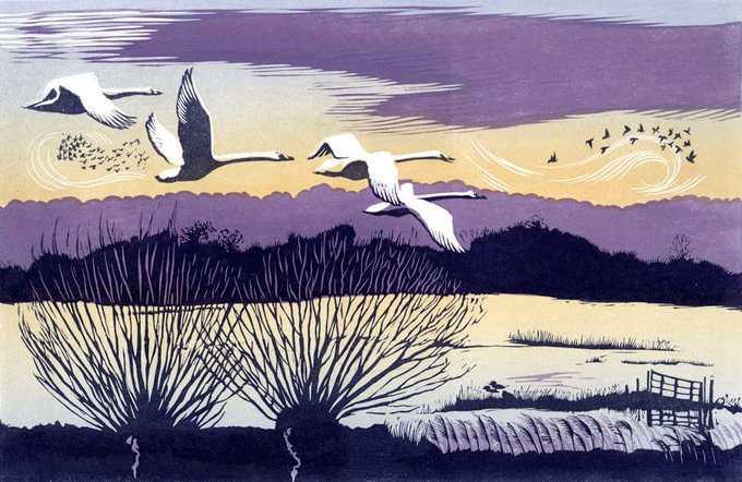 Niki Bowers, Norfolk-based contemporary printmaker #womensart