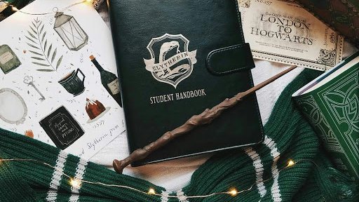 “You’d better be in Slytherin,” said Snape, encouraged that she had brightened a little. [...]“Who wants to be in Slytherin? [...]” James asked.{DH ch. 33}SLYTHERIN TRAITS: Cunning, Ambition, Resourcefulness, Fraternity, Determination, Leadership, Self-Preservation Lineage.