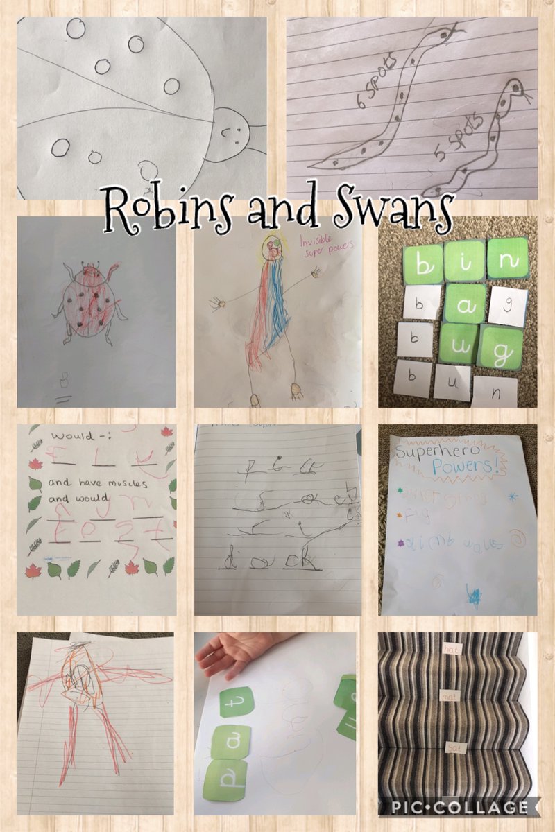 Amazing home learning from our Robins and Swans! #ExceedingExpectations ✨👏✨👏