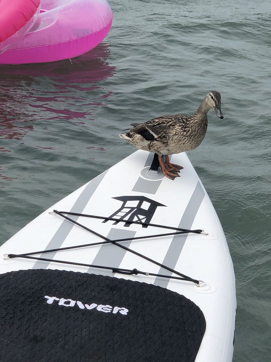 Bree Eichler tweet media