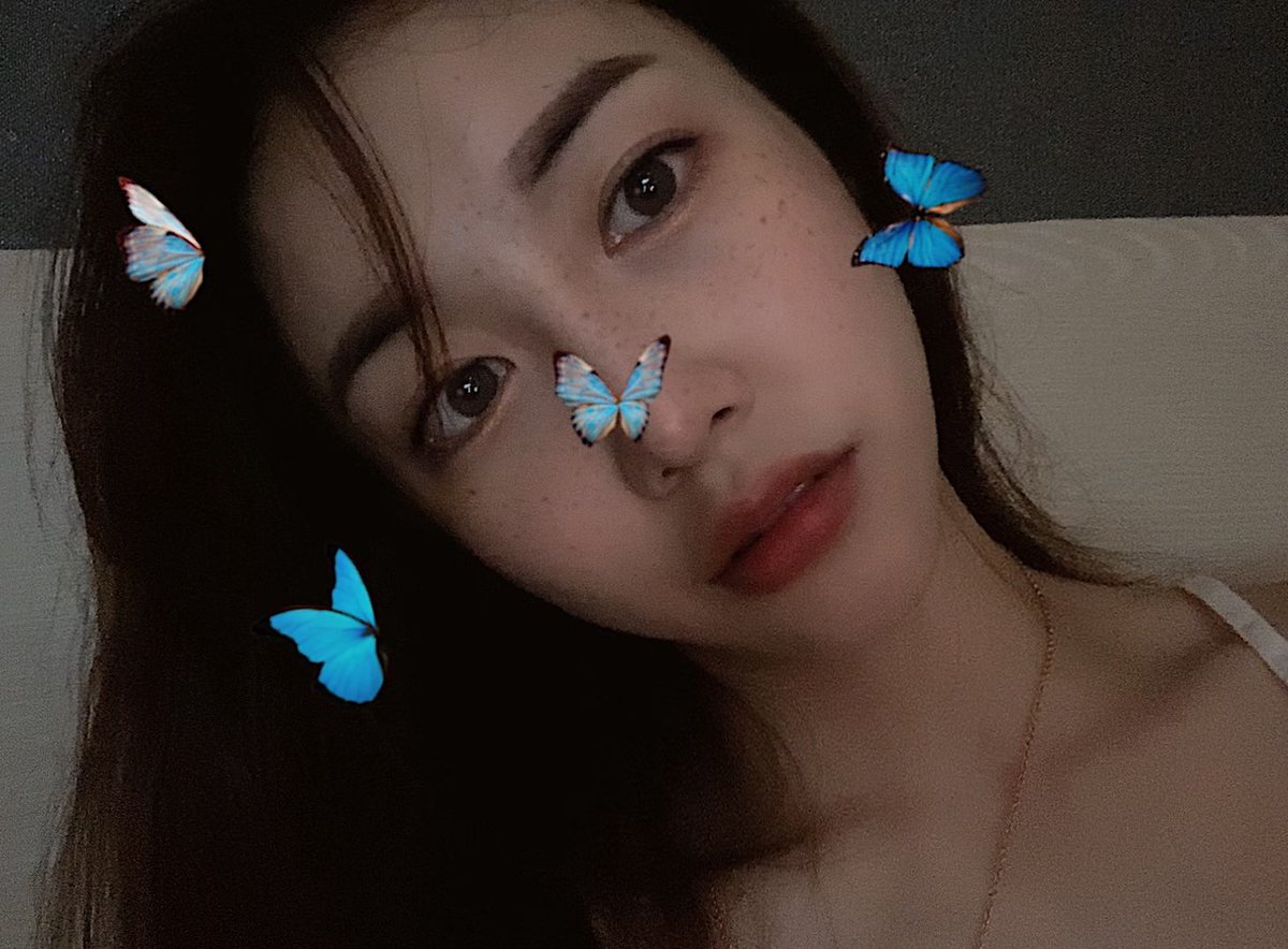 코코 tweet media