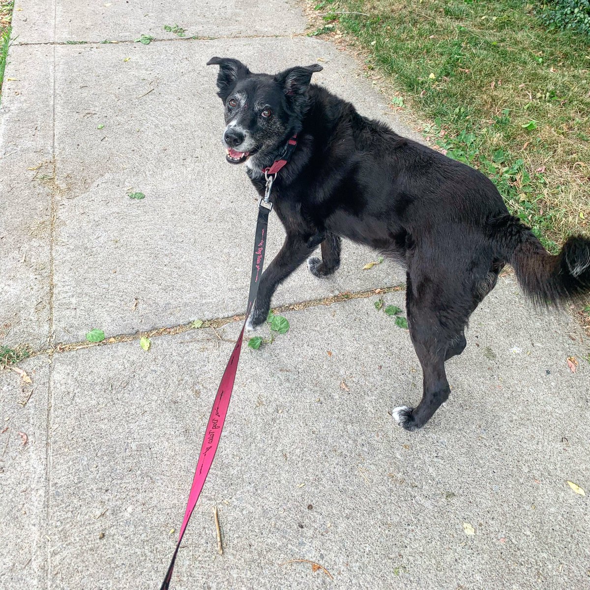 LeasideUnited's tweet photo. It’s going to be a hot day today! This is a friendly reminder to stay hydrated. Lots of extra water for you, your children &amp; your pets. Perhaps a phone call to an elderly neighbour to remind them to drink more water too #Leaside #TorontoHeat #HeatWave #HeatWarning https://t.co/AX2OKGQaCm