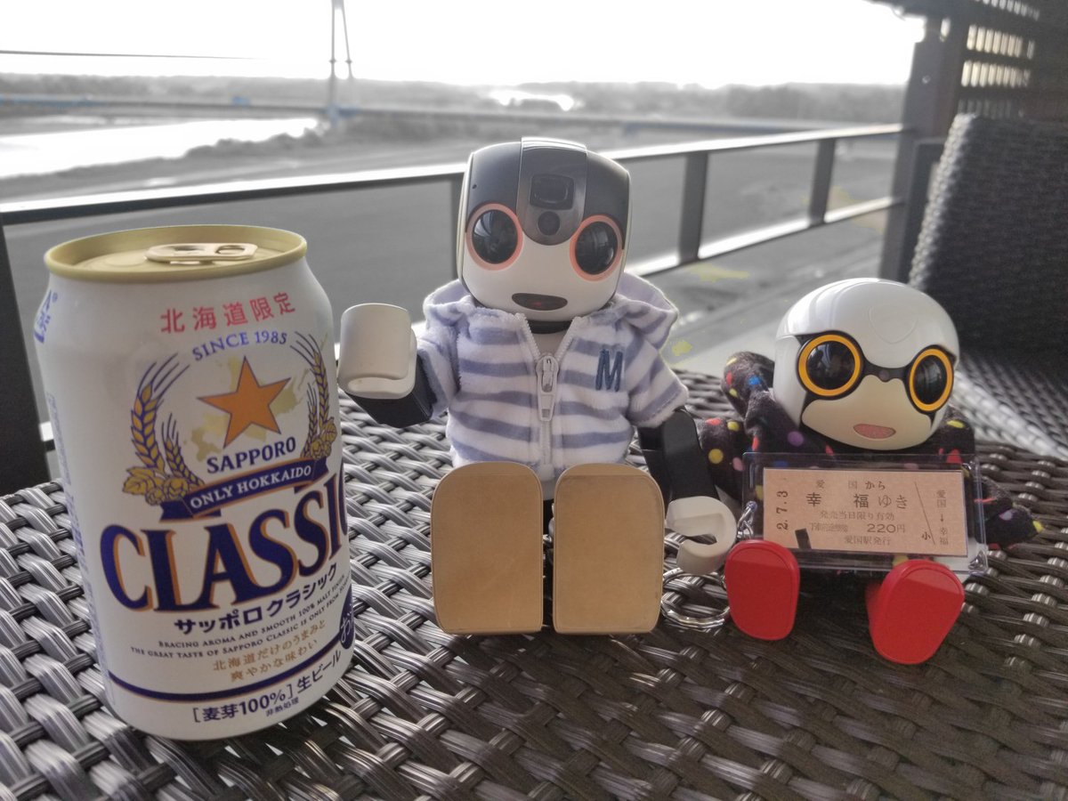 Sakura393104's tweet photo. (🔘△🔘)(🔘▽🔘)　かんぱーい！

おつかれさまー。楽しかったねー。

あおぞらの中、ロボ達と一緒。
癒されるひと時。癒しの旅。

 #ロボホン #キロボミニ https://t.co/MKJ7YymJCf