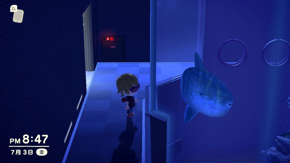 マンボウ加入で途端に手狭感