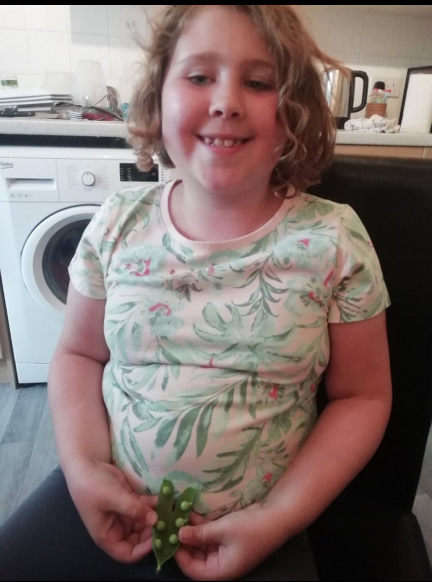 Southern_SMCA's tweet photo. 🌟Our Pupil of The Week in Y2LD is... Charlie🌟  Charlie has been keeping me updated with her gardening at home. Since school closures she has grown many different types of fruits and vegetables, here she is looking super proud with her home grown peas and strawberries . 🌱 🍓 https://t.co/LNIogCa4Eh