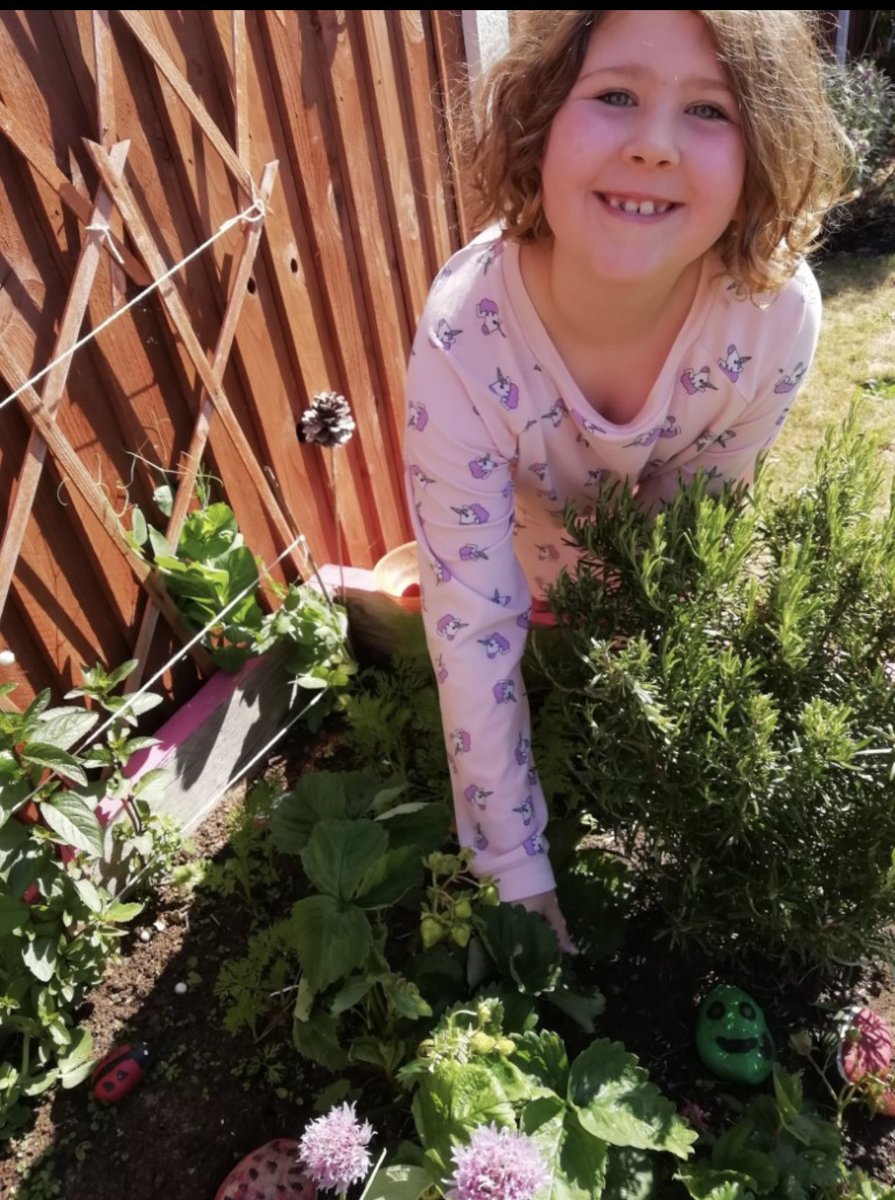 Southern_SMCA's tweet photo. 🌟Our Pupil of The Week in Y2LD is... Charlie🌟  Charlie has been keeping me updated with her gardening at home. Since school closures she has grown many different types of fruits and vegetables, here she is looking super proud with her home grown peas and strawberries . 🌱 🍓 https://t.co/LNIogCa4Eh