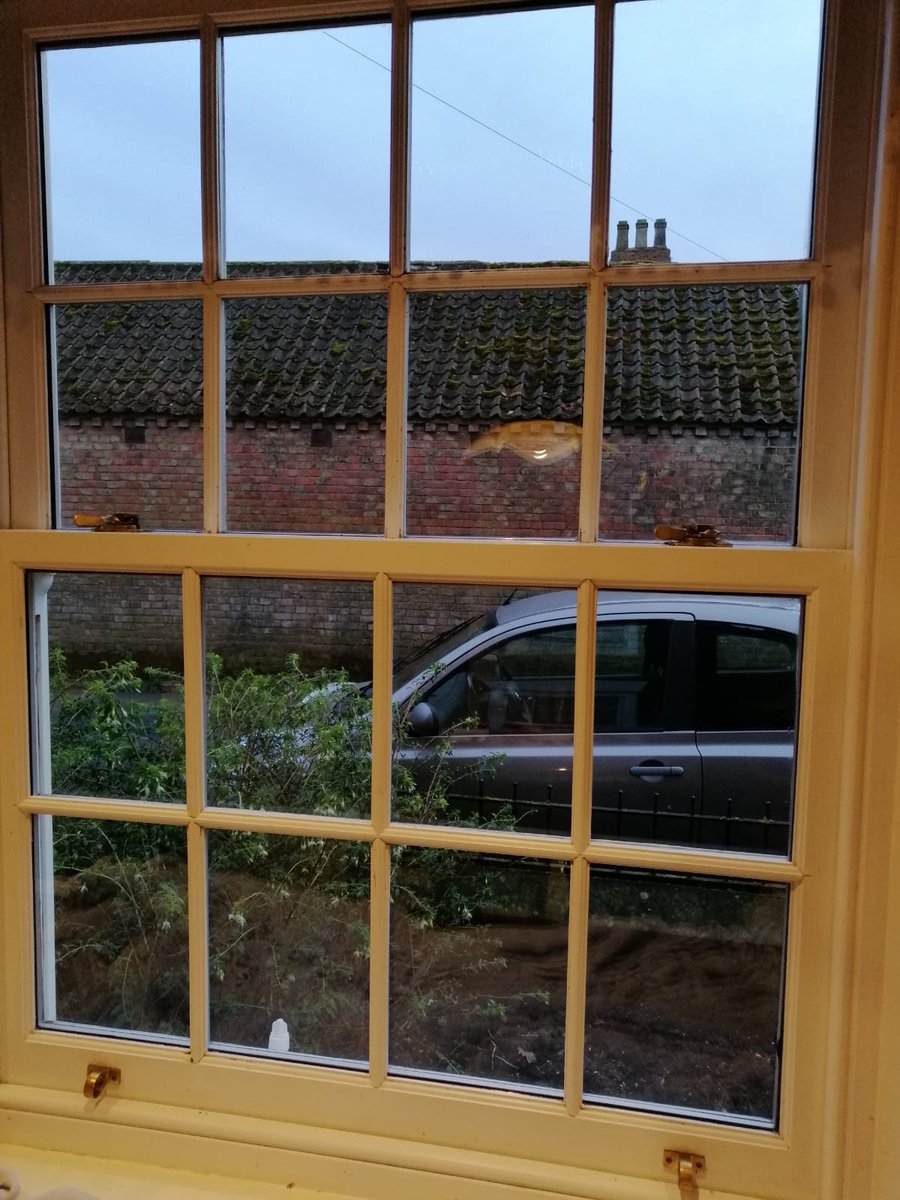cloud9windows1's tweet image. Has your Double Glazing Steamed UP? 
We offer double glazing window &amp;amp; door repairs.
Misted or steamed up double glazed units?
Replace the panes not the frames!
For a free estimate call Paul on 0800 328 8213.
cloud9windows.co.uk
#doubleglazingrepairs #upvcrepairs #mistedunits