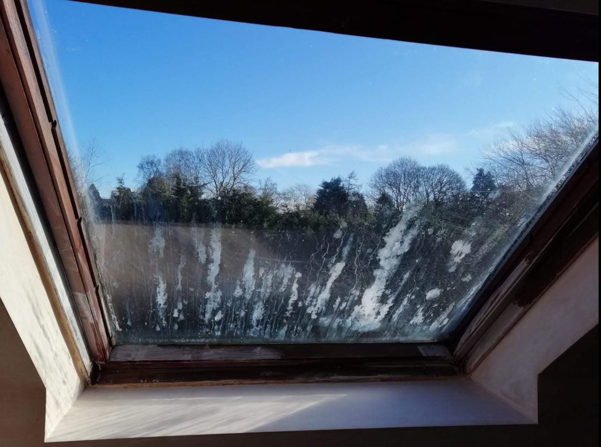 cloud9windows1's tweet image. Has your Double Glazing Steamed UP? 
We offer double glazing window &amp;amp; door repairs.
Misted or steamed up double glazed units?
Replace the panes not the frames!
For a free estimate call Paul on 0800 328 8213.
cloud9windows.co.uk
#doubleglazingrepairs #upvcrepairs #mistedunits