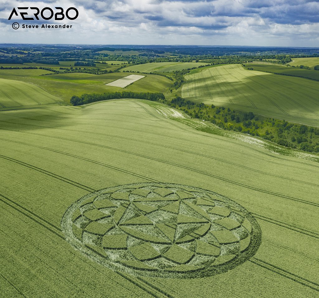 MmeBlahblatsky's tweet photo. The 9th English crop circle for 2020: Longwood Warren, Hampshire, 29 June. Why the circle makers use Wiltshire fields most of the time is a mystery. And then there's Stonehenge and Avebury...
#temporarytemples
#stevealexander https://t.co/fI3VDjV1hg