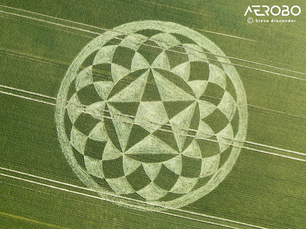 MmeBlahblatsky's tweet photo. The 9th English crop circle for 2020: Longwood Warren, Hampshire, 29 June. Why the circle makers use Wiltshire fields most of the time is a mystery. And then there's Stonehenge and Avebury...
#temporarytemples
#stevealexander https://t.co/fI3VDjV1hg