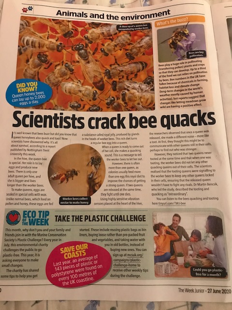 "I wanted to share this interesting article that came on the Week Junior about worker bees and queen bees. Did you know that 1/3 of our food we eat  comes from pollinators?" Fantastic research from a Young Farmer today for their social action project #LetsGetPollinating #SE16