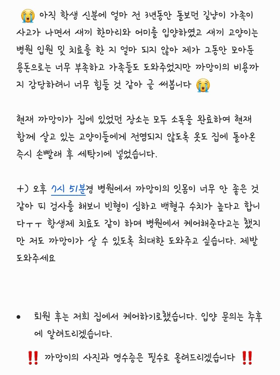 _Camem_'s tweet photo. 오늘 있었던 일을 생각나는대로 적어봤습니다.

현재 통장에 모아둔 돈이 그리 많지 않아 이후 치료비를 지불하는데 힘이 들 것 같습니다ㅜㅜ
알바를 해서 돈을 벌고 싶지만 학교 규정상 징계를 받기 때문에 이렇게라도 도움을 요청해봅니다

#길고양이 #길고양이후원 #길냥이후원 #길냥이 #도와주세요 https://t.co/tWLstHDuuW