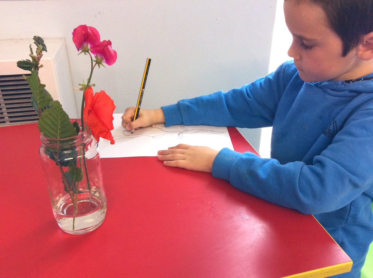 HumberClassMps's tweet photo. We’re learning more about flowers and plants this afternoon with some observational sketches! 🌺🌻🌼👀 https://t.co/aQA3plkjQa