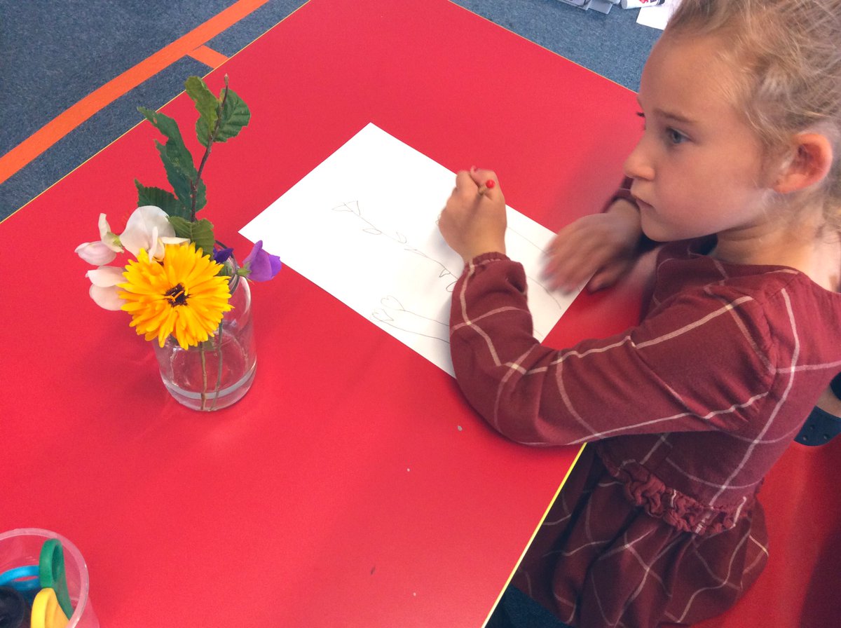 HumberClassMps's tweet photo. We’re learning more about flowers and plants this afternoon with some observational sketches! 🌺🌻🌼👀 https://t.co/aQA3plkjQa