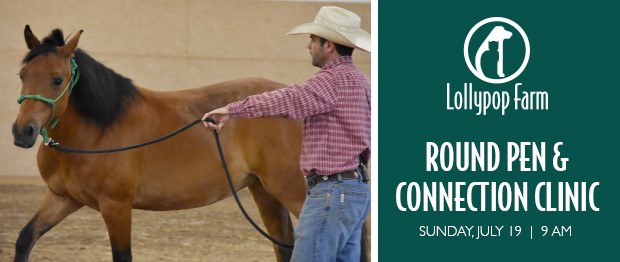 LollypopFarm's tweet photo. Join #LollypopFarm Equine Manager Steve Stevens for a fun morning of connection work on Sunday, July 19! 🐎 You will learn the round pen skills you need to improve communication between you and your horse. Learn more and register online: https://t.co/aRQlWH27Yv. #EquineProgram https://t.co/Am4fWKwXtr