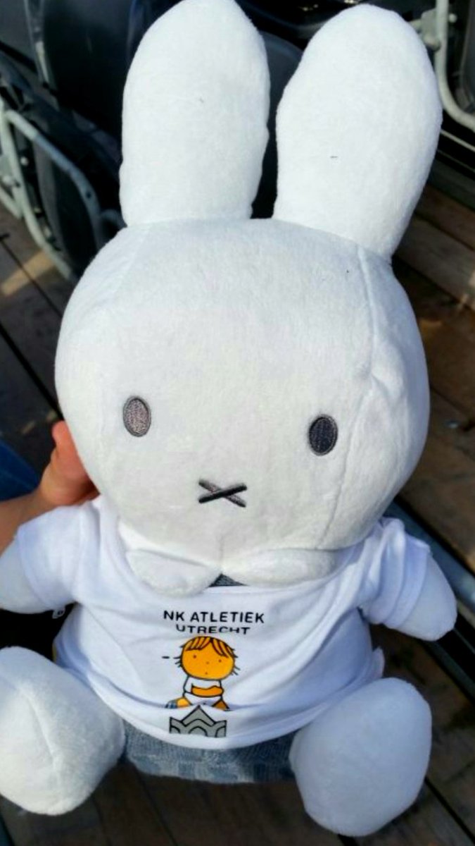 EricRoeske's tweet image. BREAK!
ASICS NK Atletiek 2020 terug naar Utrecht! 29 en 30 augustus #Maarschalkerweerd #Phoenix #U_Track