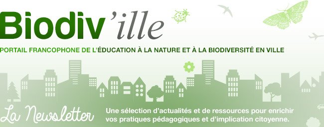 Biodiville's tweet photo. La dernière newsletter de Biodiv'ille (juin 2020), portail de l'#éducation à la #nature et à la #biodiversité en #ville, est en ligne https://t.co/pcaaao4Pp3 https://t.co/nQeVXe2eH8