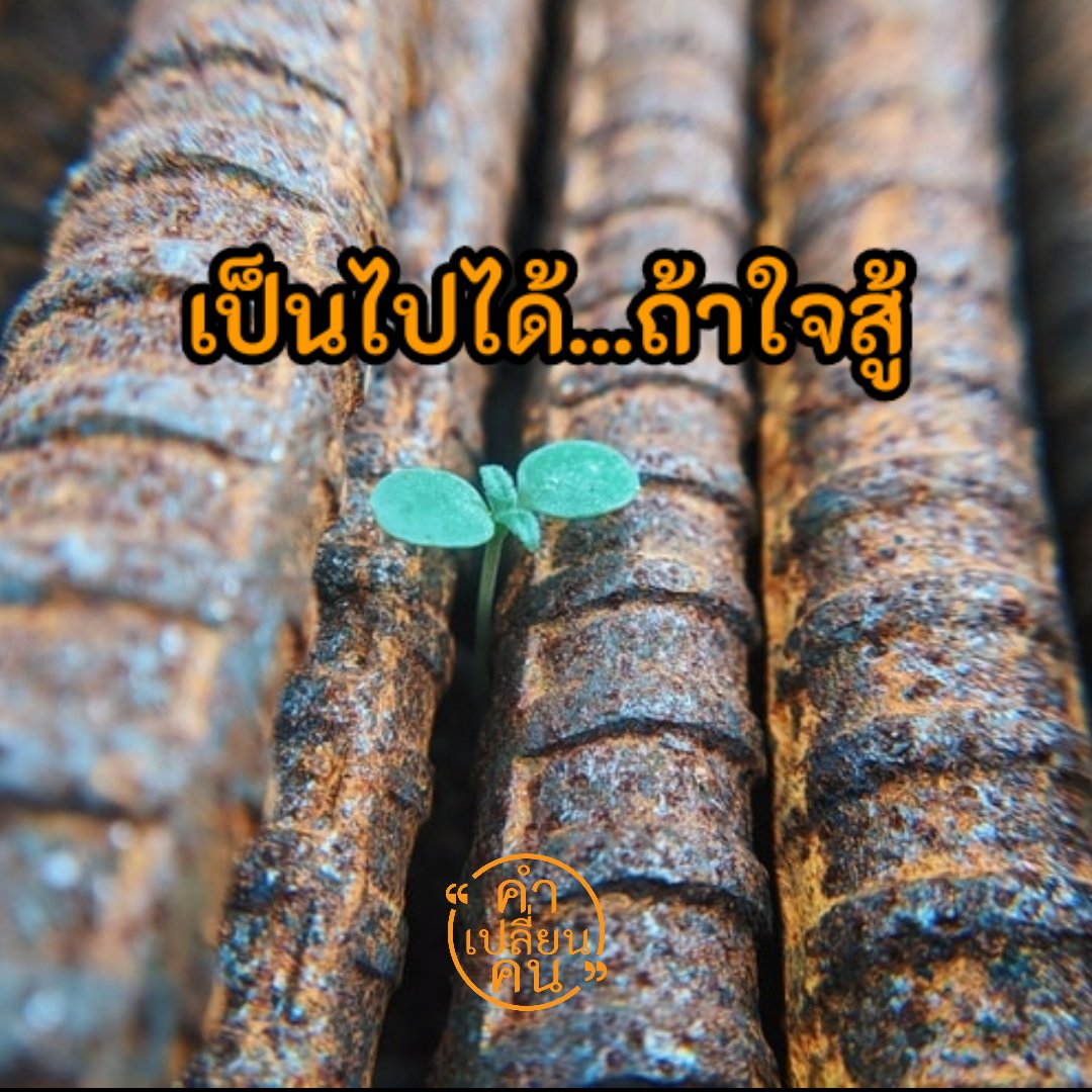 word2changes's tweet photo. เป็นไปได้ถ้าใจสู้...

#คำคิดศศิพัชร์
#คำเปลี่ยนคน
#คำคมชีวิต https://t.co/Y4MrdQDMRV