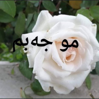 rok61171111's tweet photo. #صورة_جديدة_للملف_الشخصي https://t.co/TidDNc5Ql7