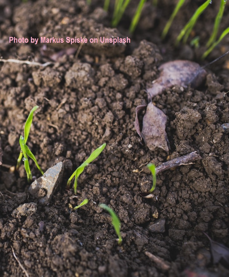 interregrespon1's tweet photo. A very dry month of April affected cultivations in NorthEast Italy: 71% less #rain in spring means a poorer harvest later. #ClimateChange touches #agriculture as well! https://t.co/XmsKxVrmgo