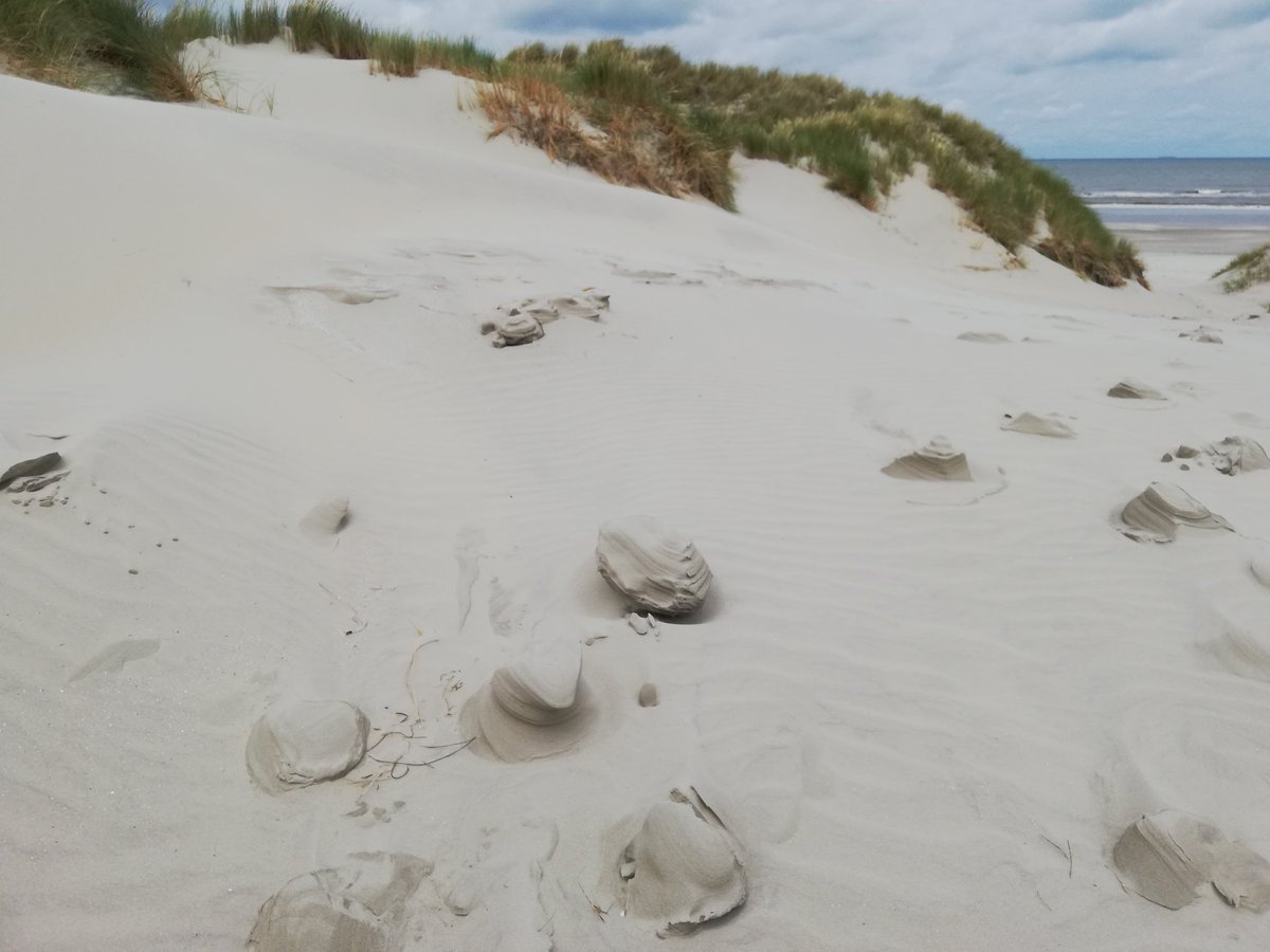 Nu al kunst op #ameland,' getekend' door de wind! #gezandstraald.