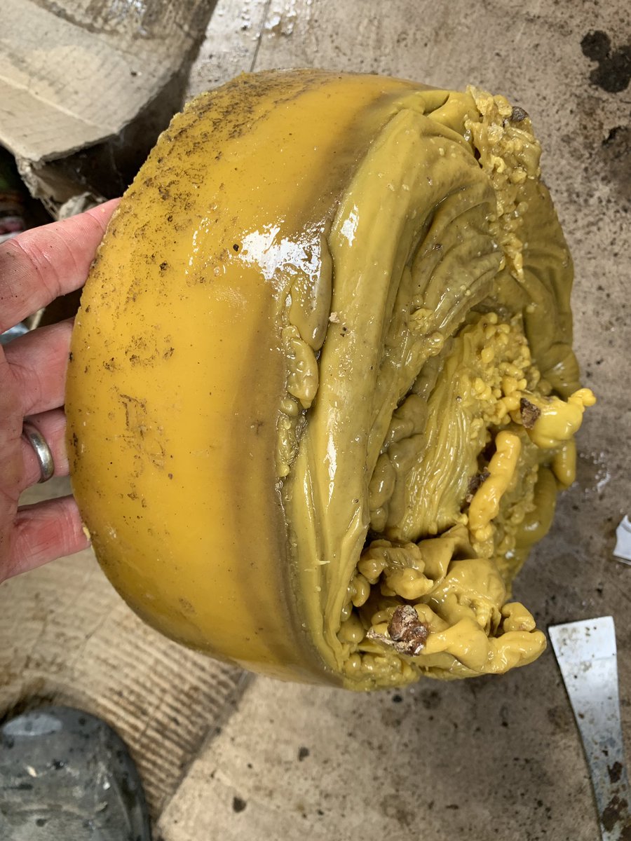 wealdbees's tweet photo. wax melting 2020 has began...with that amazing smell! https://t.co/aNS6y46ucQ