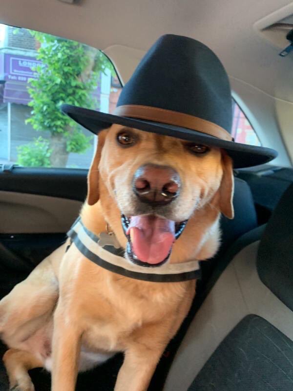 Middlesex University tweet media