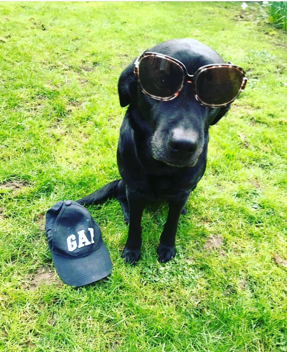 Middlesex University tweet media