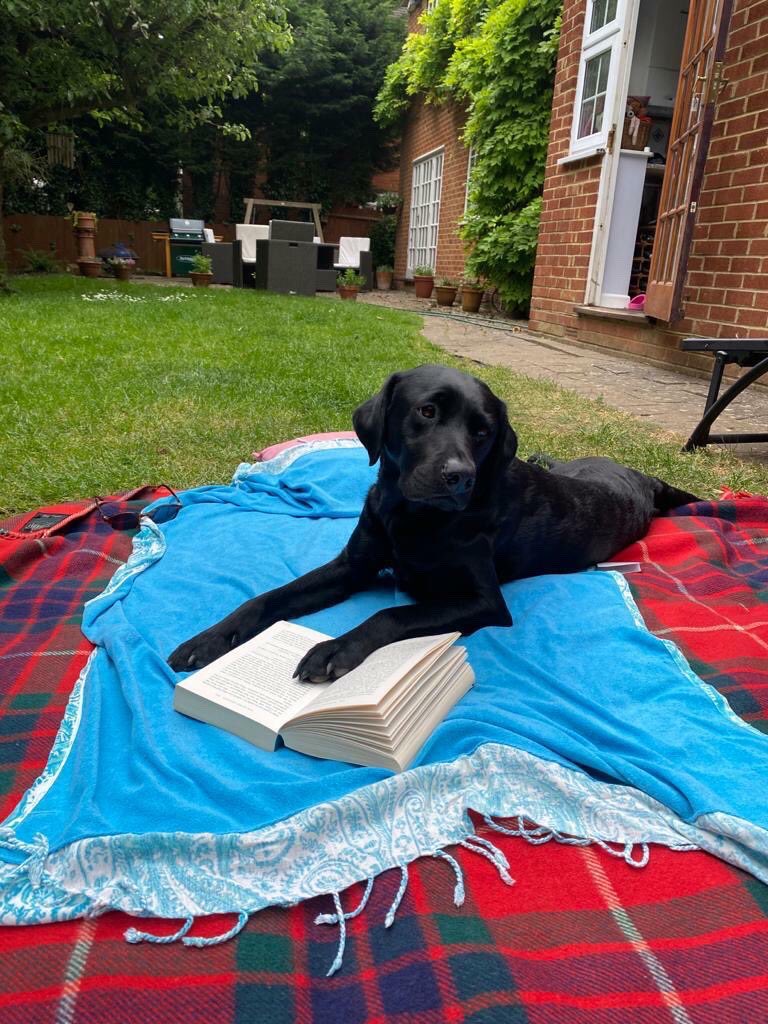 Middlesex University tweet media