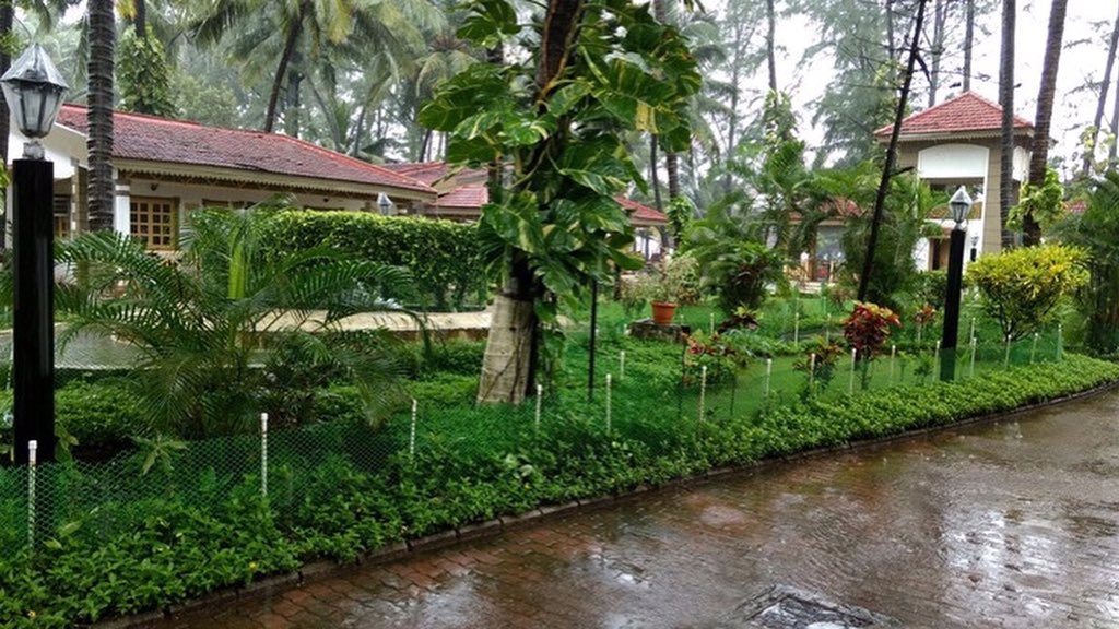GSBeachResort's tweet photo. The rhythm of rain ☔️ &amp; the smell of mud will certainly make you fall in love with nature 🌱all over again.😌
.
Happy Monsoon🌧
.
.#rain #rainday #rainclouds #rainy #mumbairains #firstrain #monsoonvibes #indianature #rainymood #rainlover #itsraining #murud #janjira #raigad https://t.co/QGcSwFbBiW