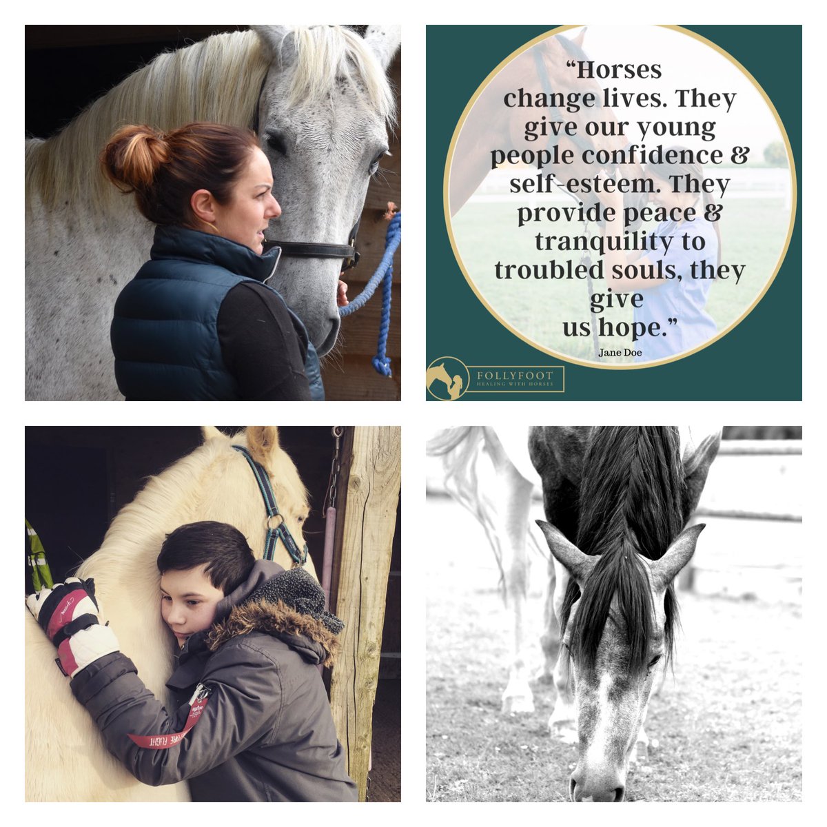 Follyfoothealing tweet media