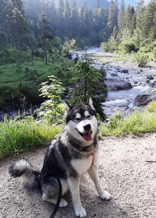 adrsik's tweet photo. Wochenende steht vor der Tür und das nächste Abenteuer wartet 😃 https://t.co/DHyfED7eEA