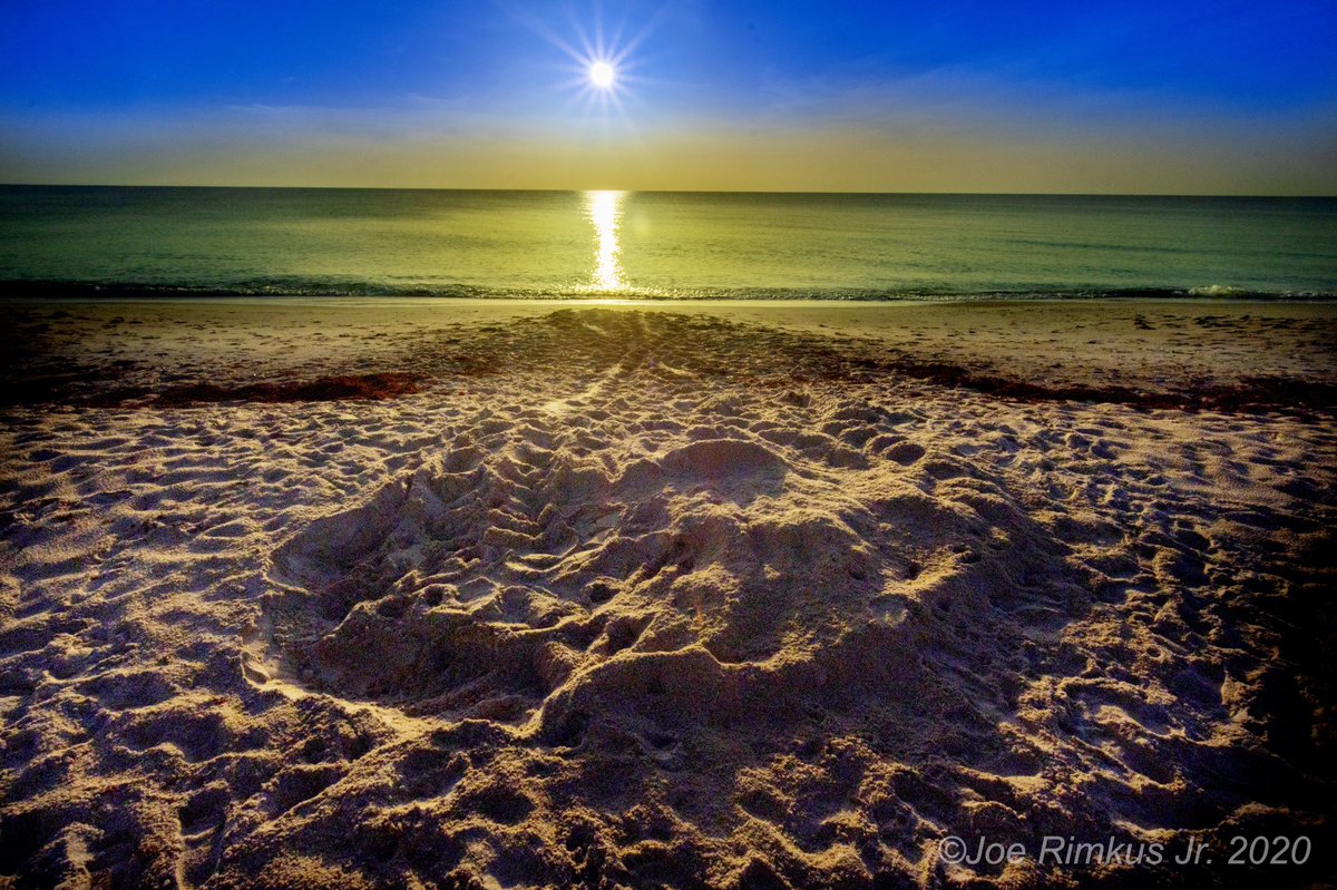 joejrpix's tweet photo. #sun #sunrise #beach #loggerheadnest #seaturtlenest #treasurecoast #verobeach #roamflorida #treasurecoast https://t.co/bS3Uj8r7Zc